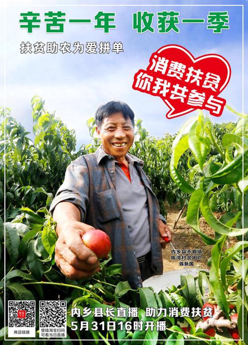 内乡品牌策划